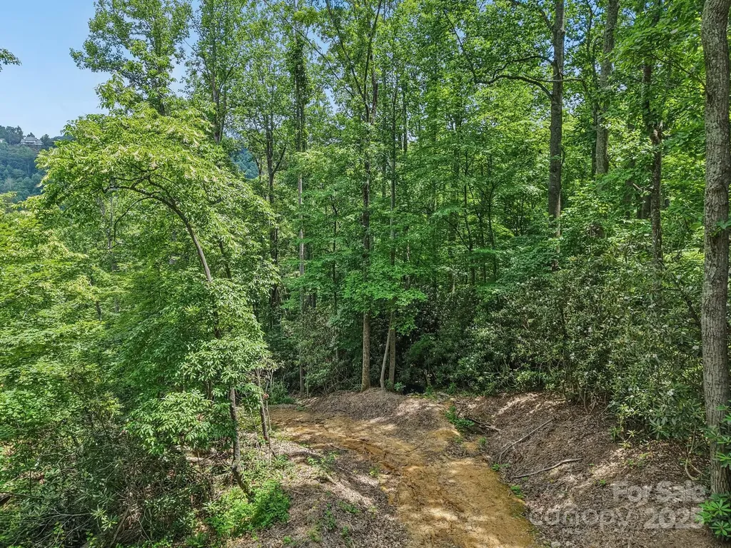 Tbd Fiver Lane Hendersonville NC 28792