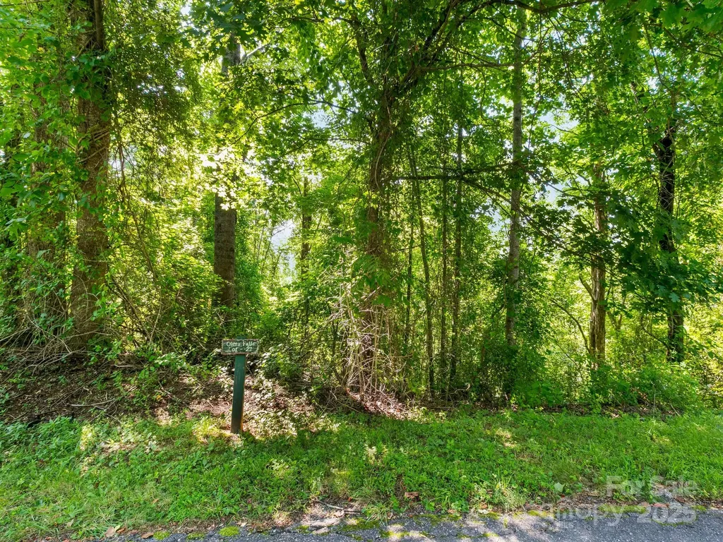 9999 Stone Valley Way Hendersonville NC 28792