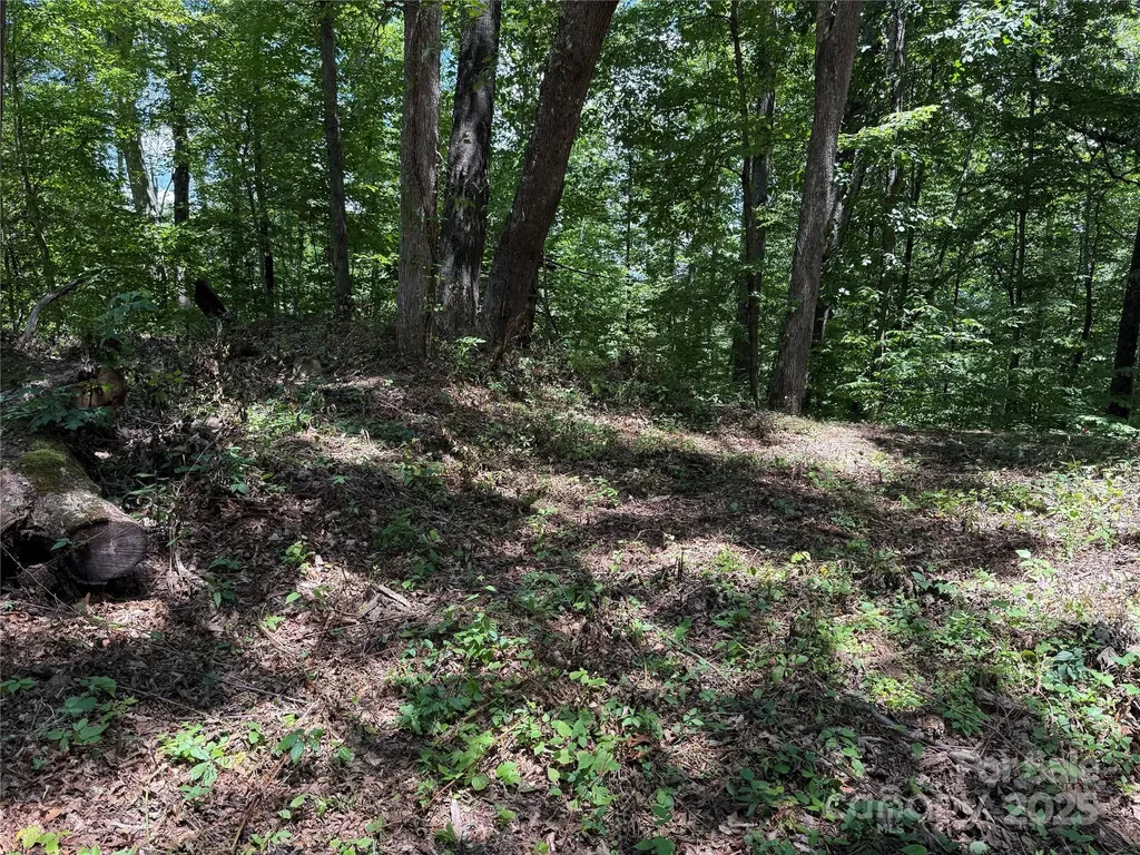 10 Katua Trail Maggie Valley NC 28751