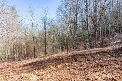 0 Landis Lane Burnsville NC 28714