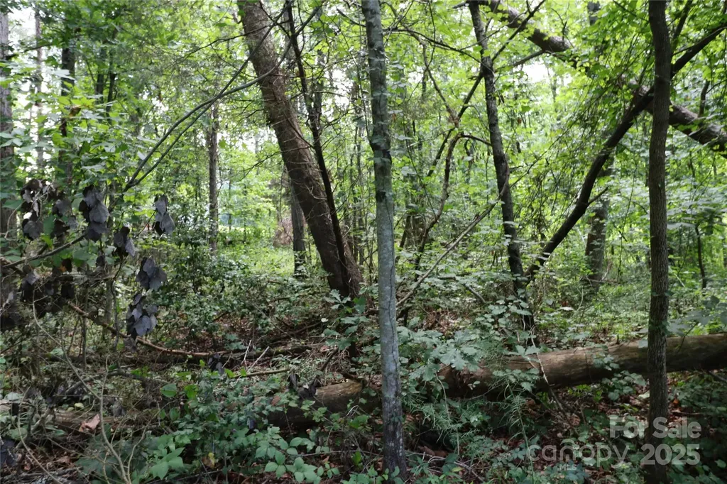 0 Shady Nook Circle Forest City NC 28043