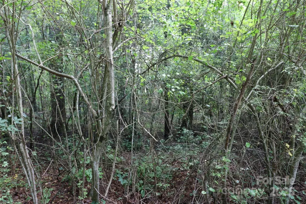 0 Whispering Pines Circle Forest City NC 28043