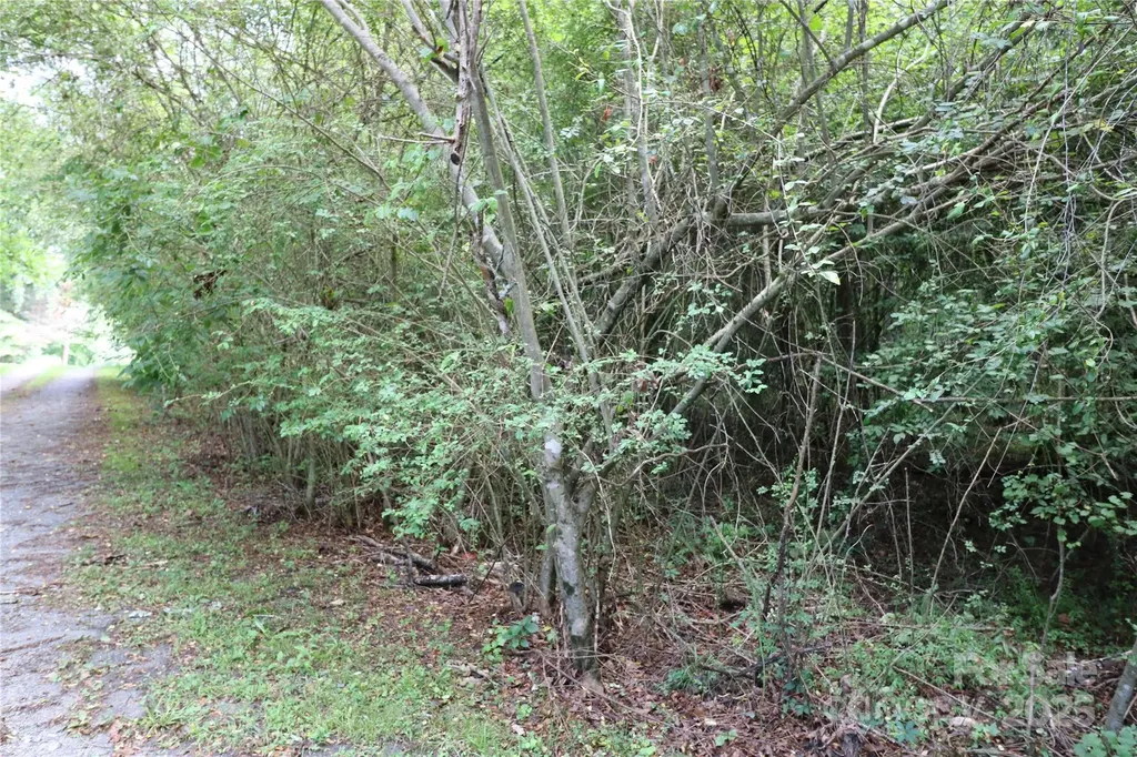 0 Whispering Pines Circle Forest City NC 28043