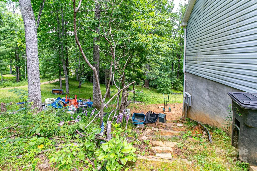 164 Horseplay Lane Lake Toxaway NC 28747