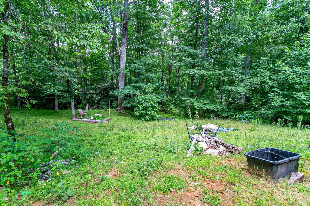 164 Horseplay Lane Lake Toxaway NC 28747