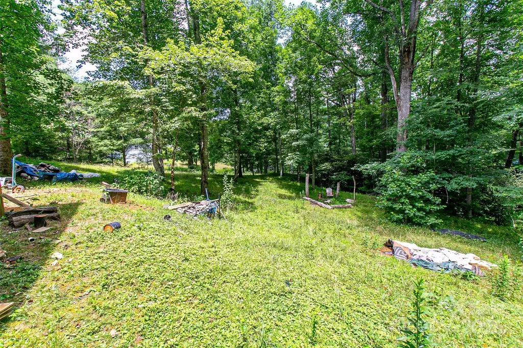 164 Horseplay Lane Lake Toxaway NC 28747