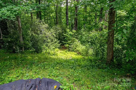 164 Horseplay Lane Lake Toxaway NC 28747