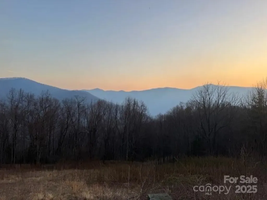 Tbd Sorrells Creek Road Canton NC 28716