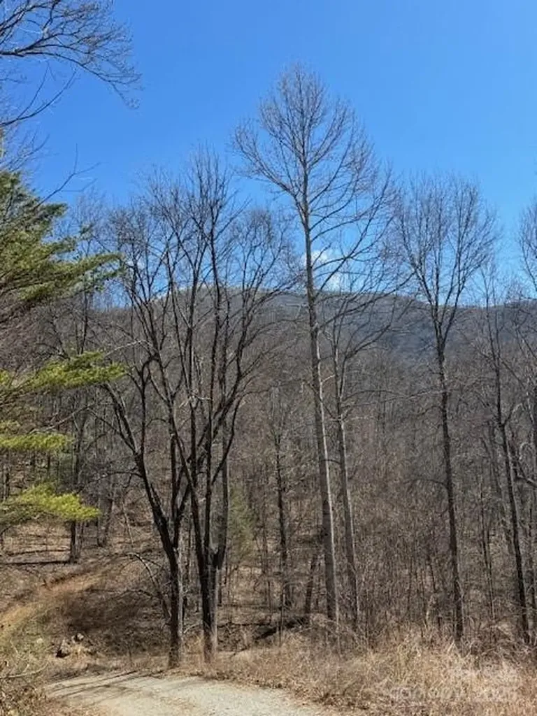 Tbd Sorrells Creek Road Canton NC 28716