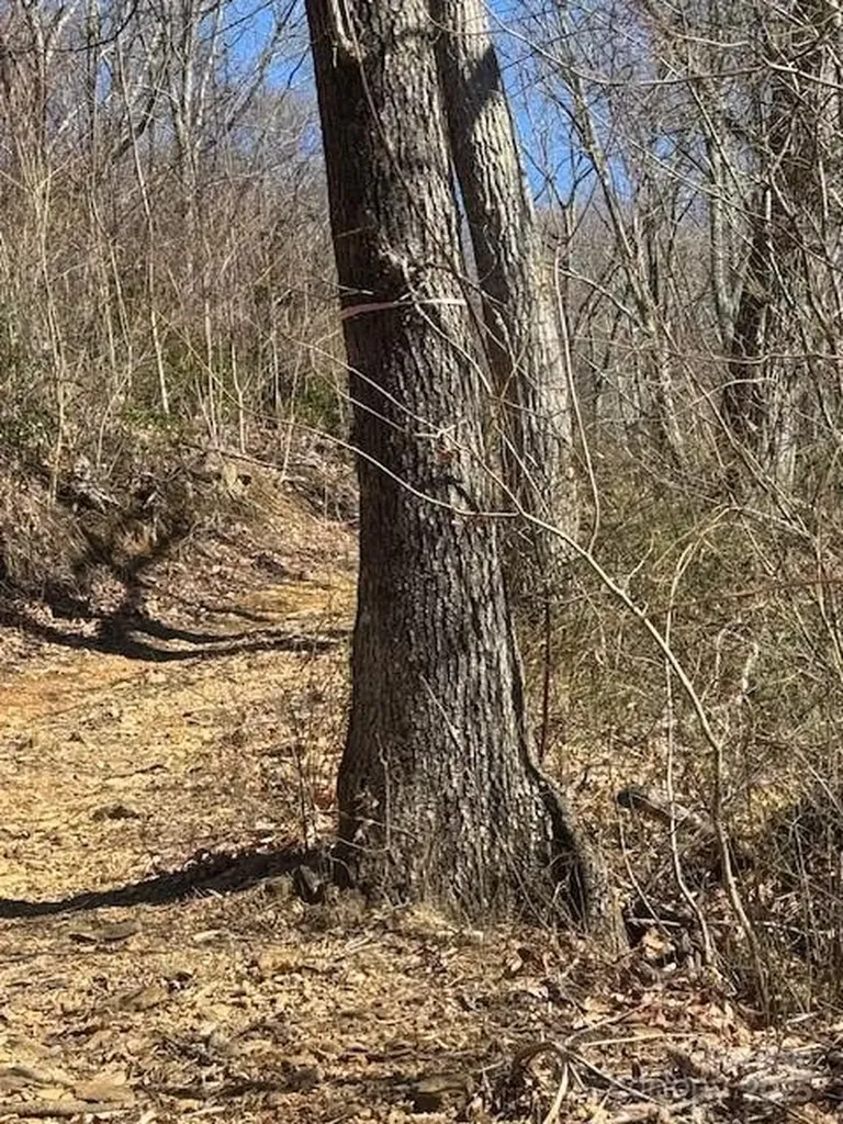 Tbd Sorrells Creek Road Canton NC 28716