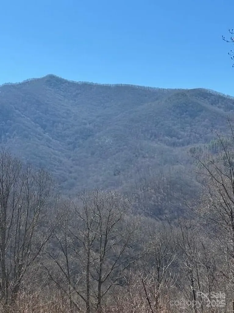 Tbd Sorrells Creek Road Canton NC 28716