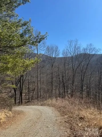 Tbd Sorrells Creek Road Canton NC 28716