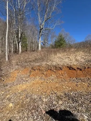 Tbd Sorrells Creek Road Canton NC 28716