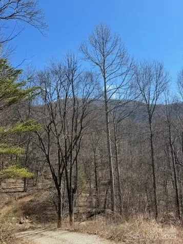 Tbd Sorrells Creek Road Canton NC 28716
