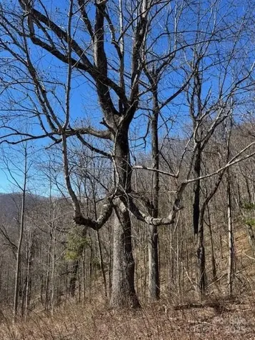 Tbd Sorrells Creek Road Canton NC 28716