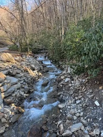 Tbd Sorrells Creek Road Canton NC 28716