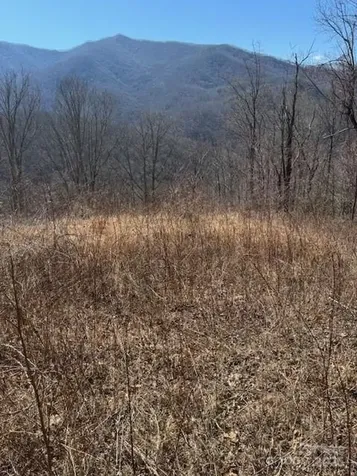 Tbd Sorrells Creek Road Canton NC 28716