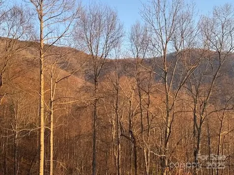 Tbd Sorrells Creek Road Canton NC 28716