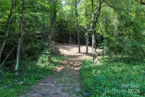 9999 Gabriels Creek Road Mars Hill NC 28754