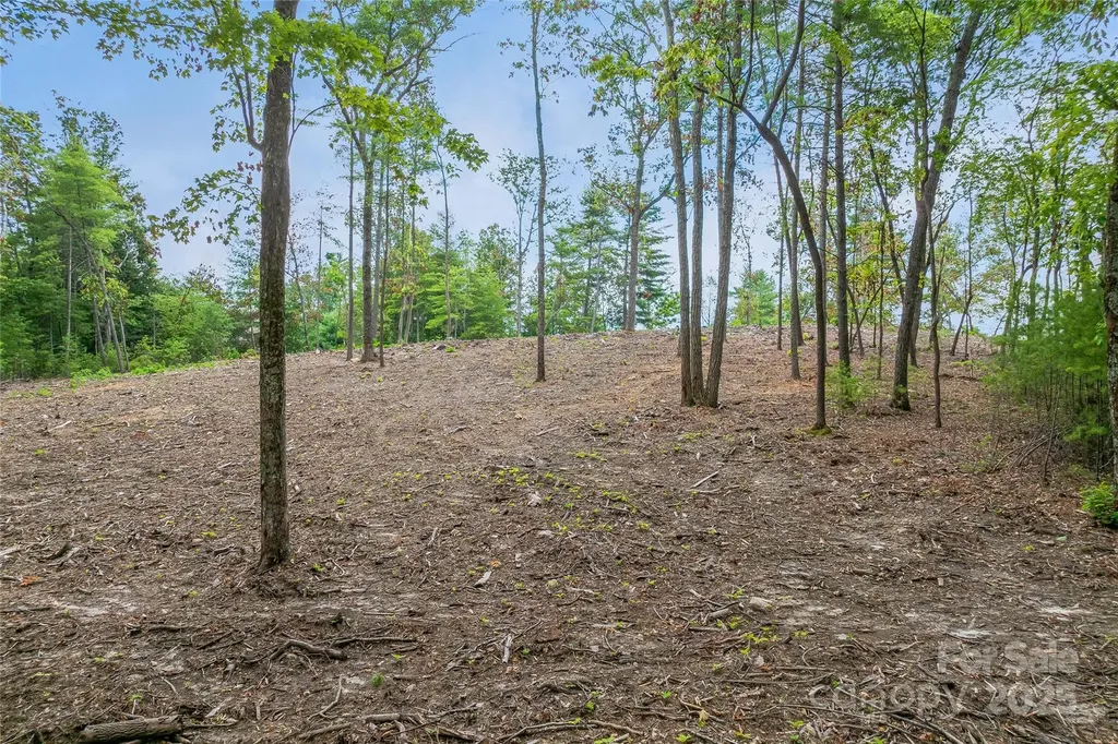 99999 Cedar Hill Drive Biltmore Forest NC 28803