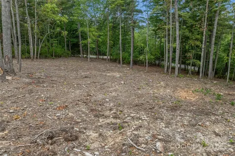 99999 Cedar Hill Drive Biltmore Forest NC 28803