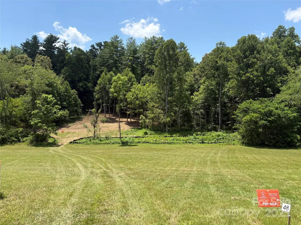 9999 Settlers Trail Mars Hill NC 28754