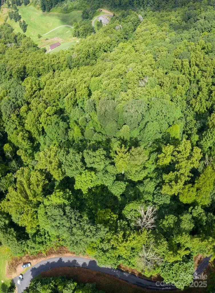 Lot 22 Spring Rock Road Burnsville NC 28714