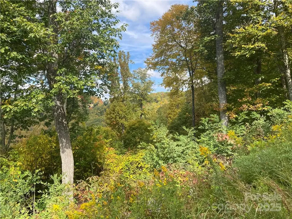 Lot 22 Spring Rock Road Burnsville NC 28714