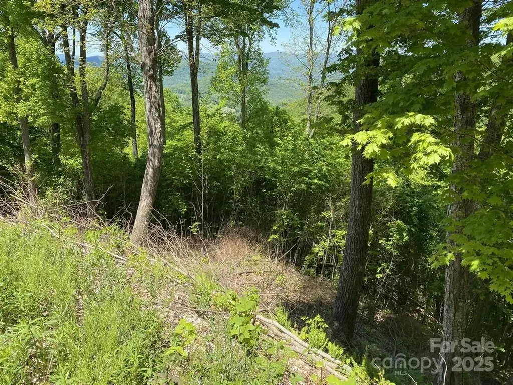 Lot 22 Spring Rock Road Burnsville NC 28714