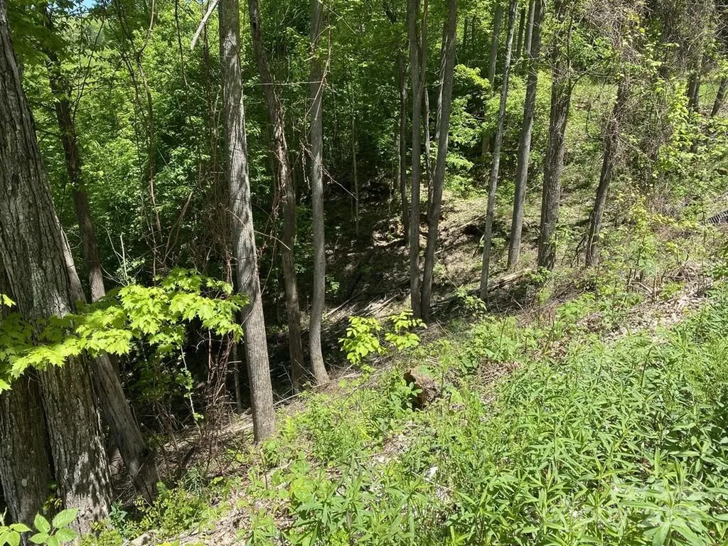 Lot 22 Spring Rock Road Burnsville NC 28714