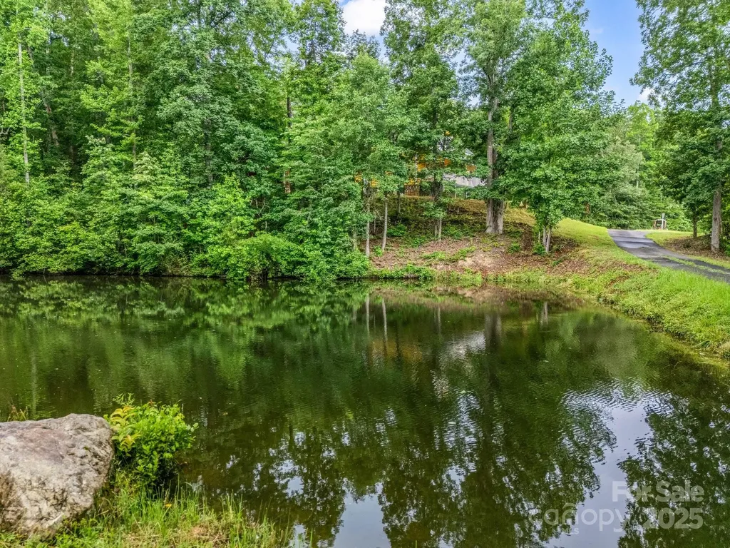4086 Big Island Road Rutherfordton NC 28139