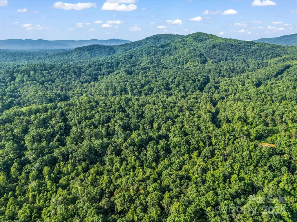 0 Forest Country Drive Marion NC 28752