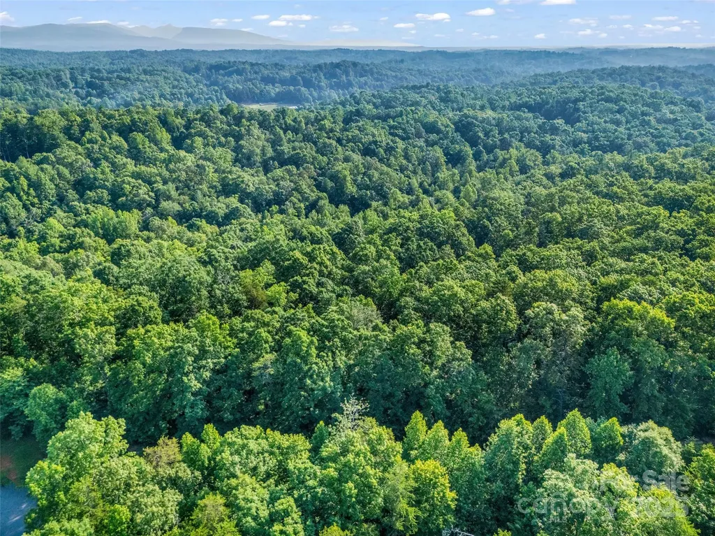 0 Forest Country Drive Marion NC 28752