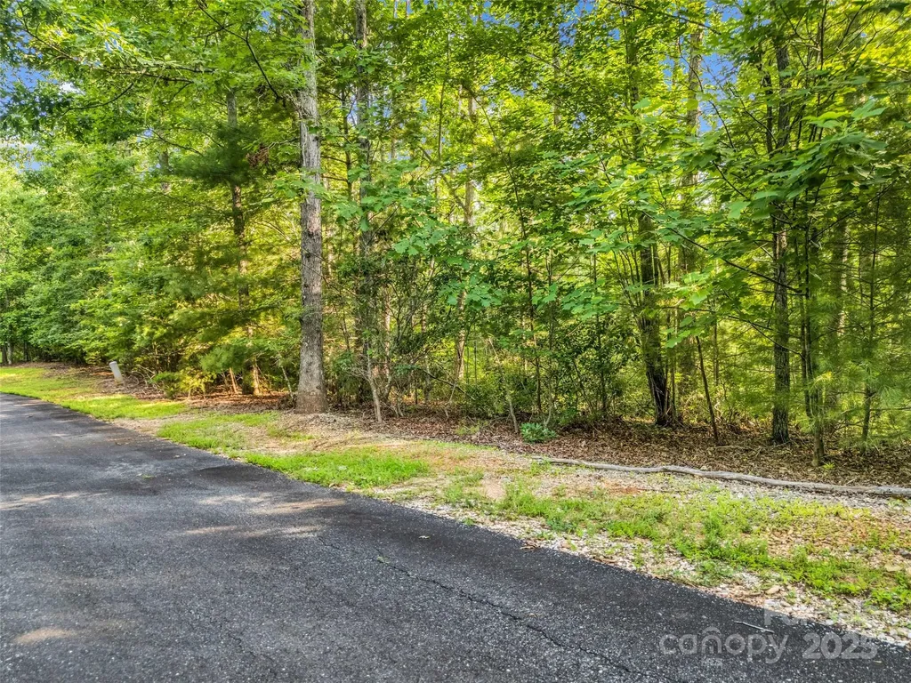 0 Forest Country Drive Marion NC 28752