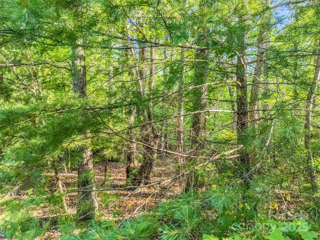 0 Forest Country Drive Marion NC 28752