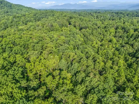 0 Forest Country Drive Marion NC 28752