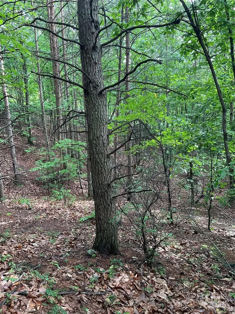0 Pineknoll Drive Hickory NC 28602