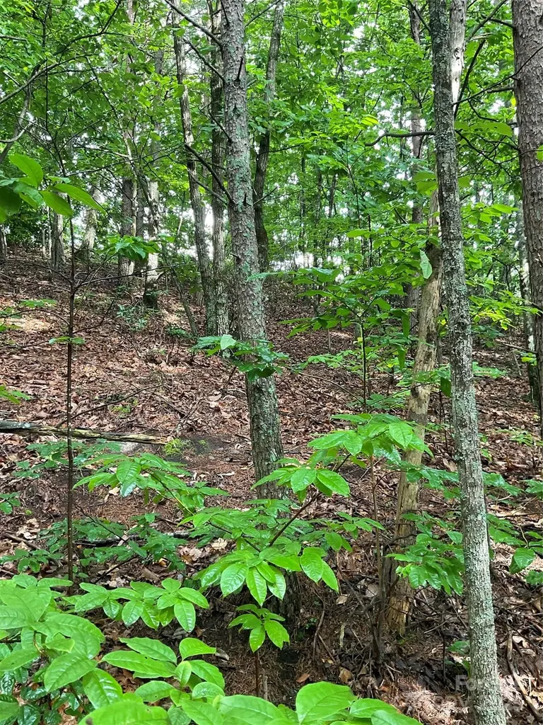 0 Pineknoll Drive Hickory NC 28602