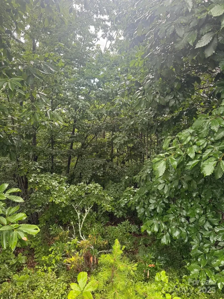 0 Pineknoll Drive Hickory NC 28602