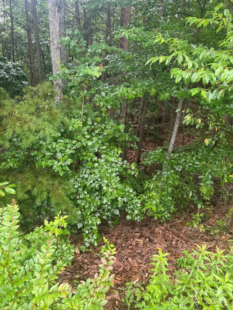 0 Pineknoll Drive Hickory NC 28602