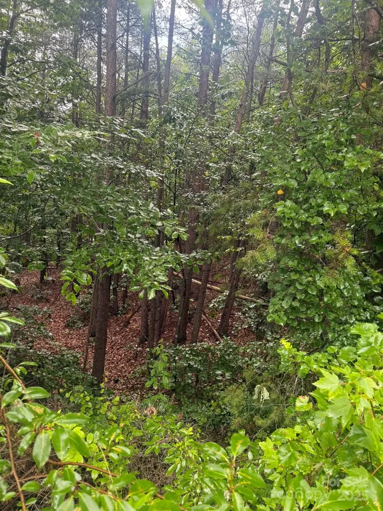 0 Pineknoll Drive Hickory NC 28602