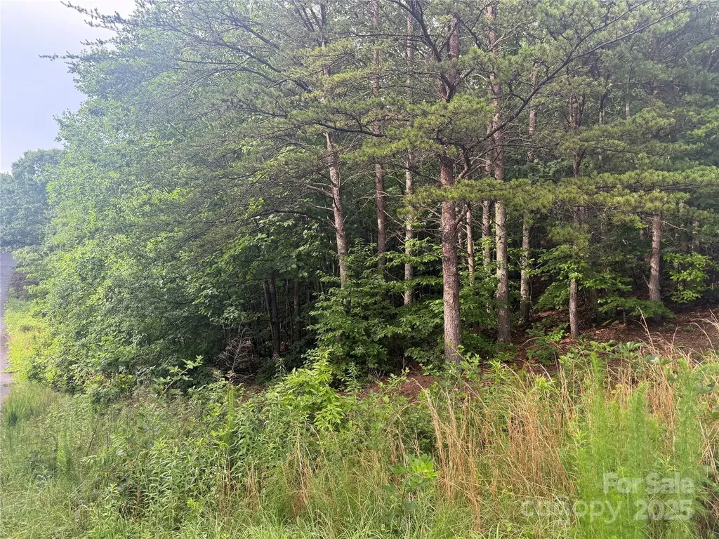 0 Pineknoll Drive Hickory NC 28602