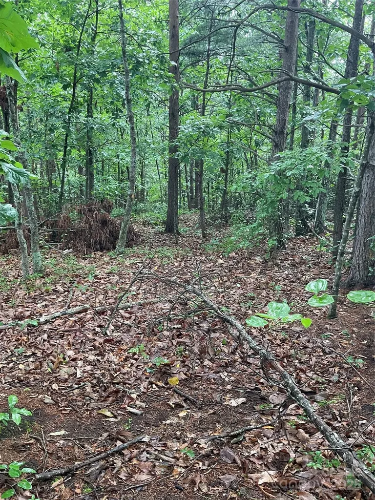 0 Pineknoll Drive Hickory NC 28602