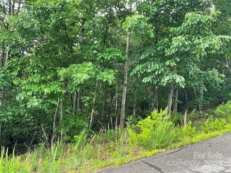 0 Pineknoll Drive Hickory NC 28602