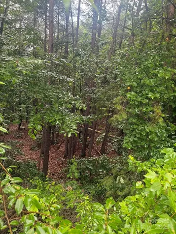 0 Pineknoll Drive Hickory NC 28602