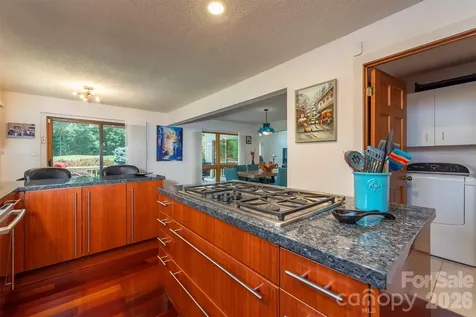 141 Courtland Court Lake Lure NC 28746