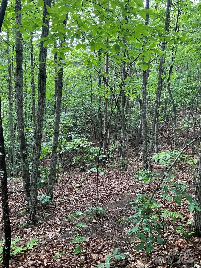 0 Valley View Court Hickory NC 28602