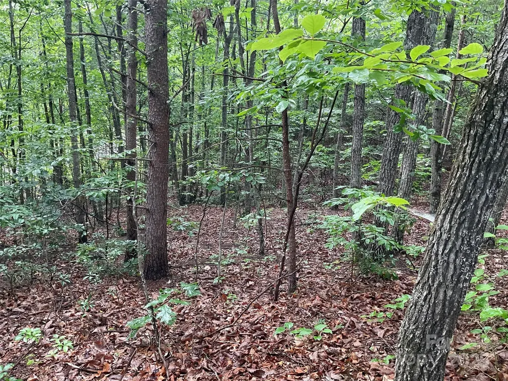 0 Valley View Court Hickory NC 28602