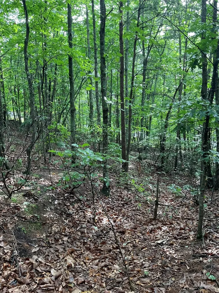 0 Valley View Court Hickory NC 28602