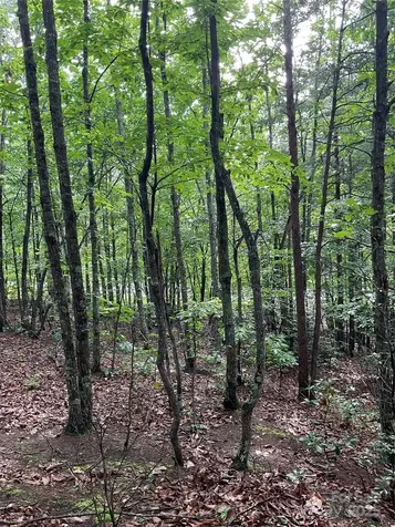 0 Valley View Court Hickory NC 28602